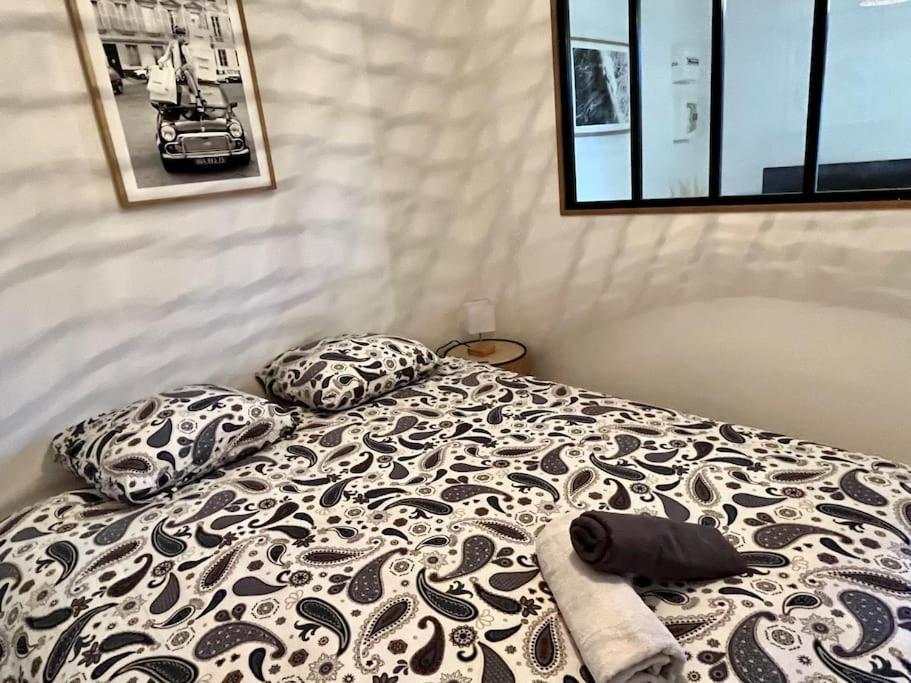 Appartement Cosy Plein Centre 杜埃 外观 照片